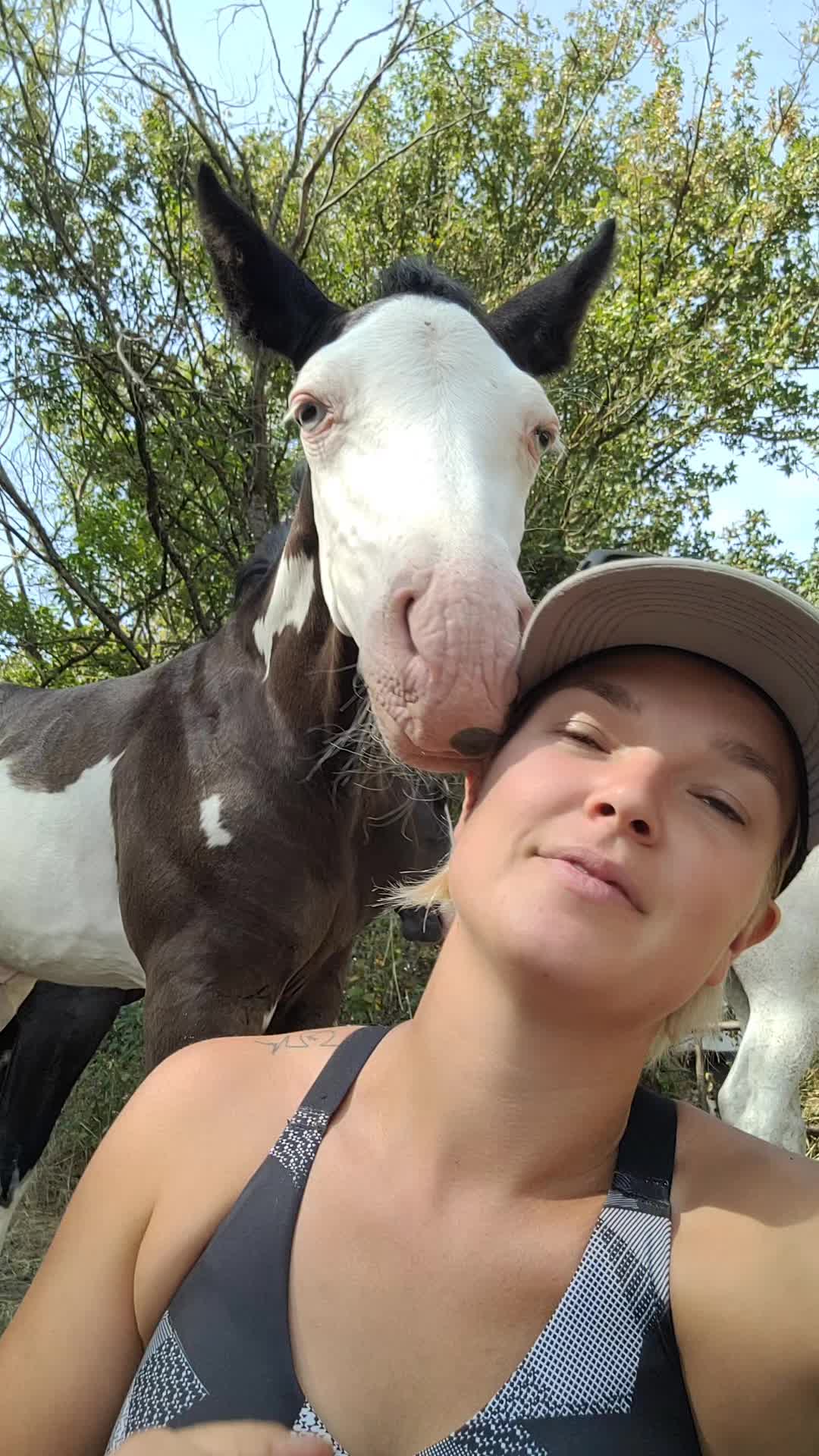 @Adaline des rêveries ✨️🦄 ✨️