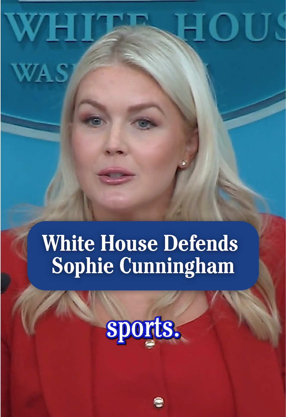 @Daily Wire