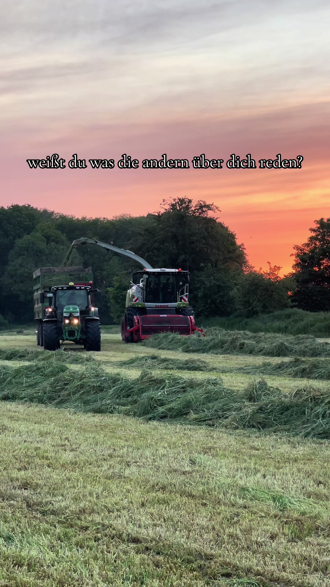@Luca 🚜