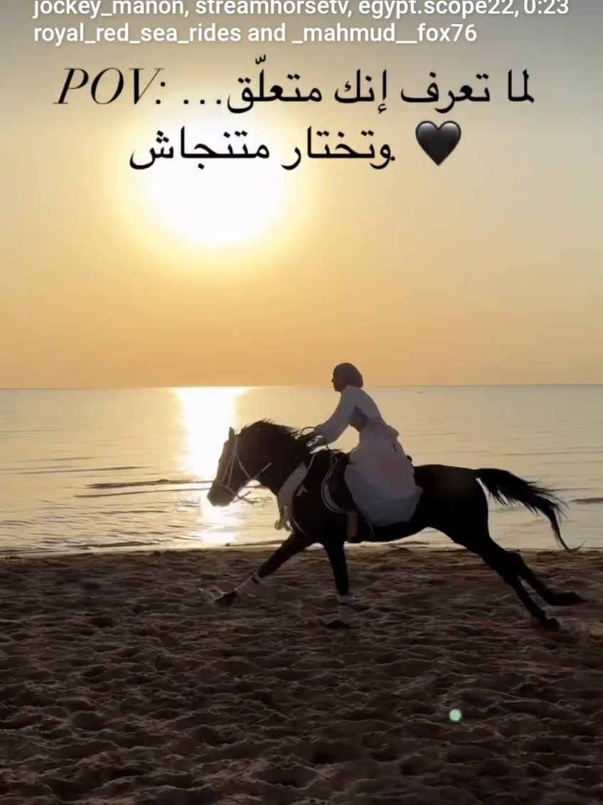 @streamhorse