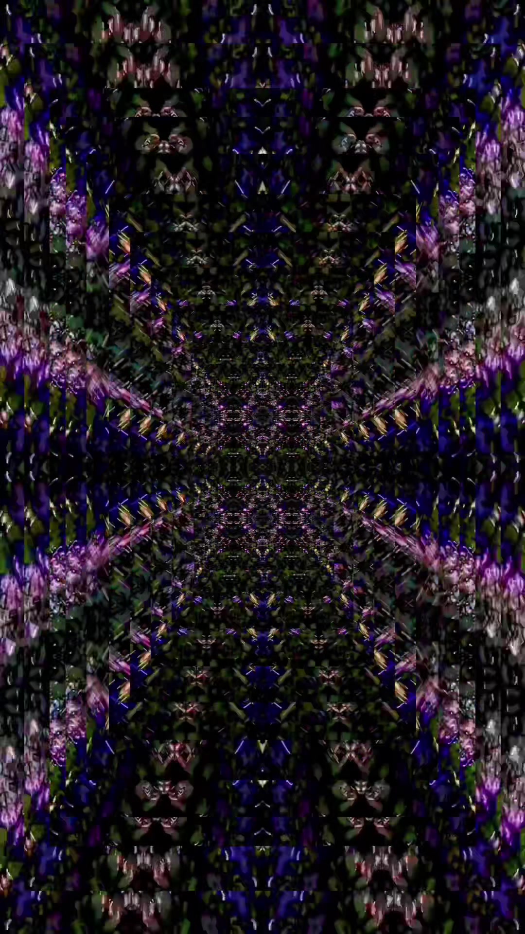 @tinkerportal