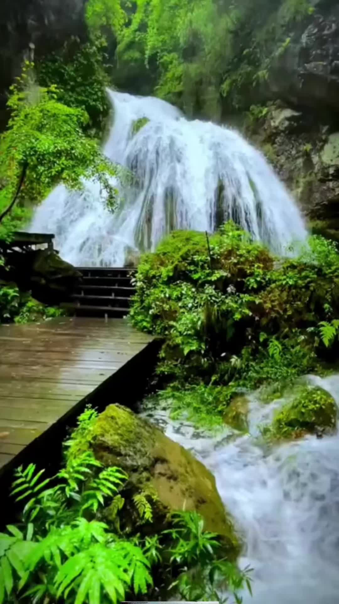 @♡&bull;( 𝓜𝓮𝓵𝓲  )&bull;♡