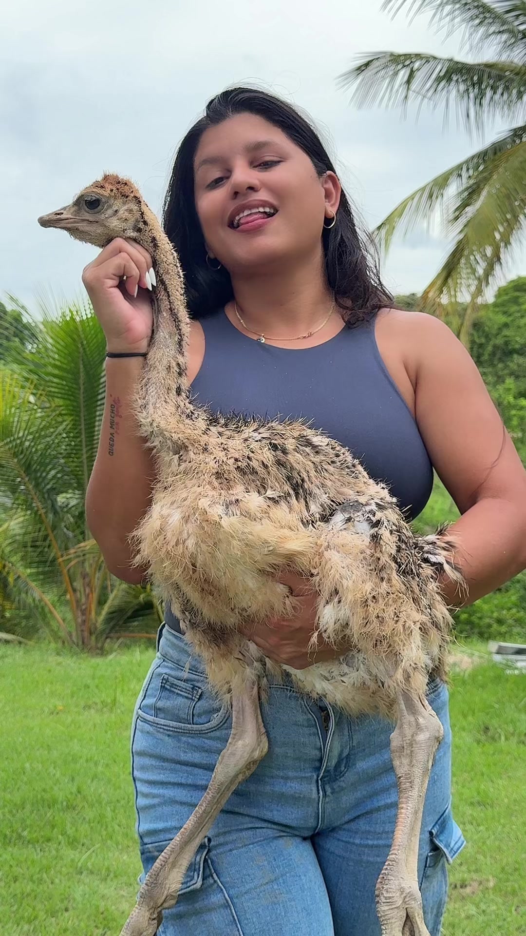 @Granjamascotalandiayaracuy