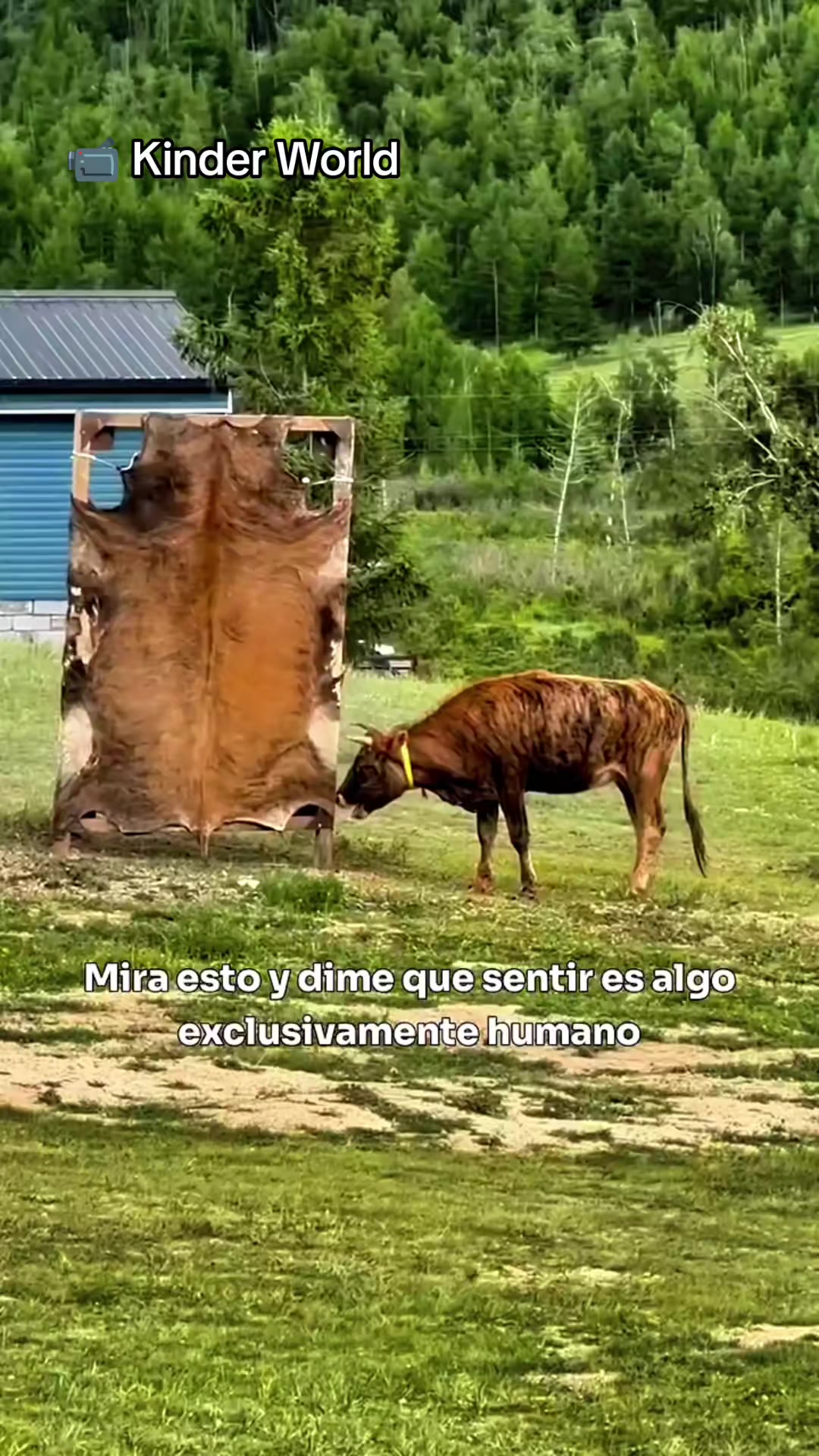 @Mauro Vegan🐑