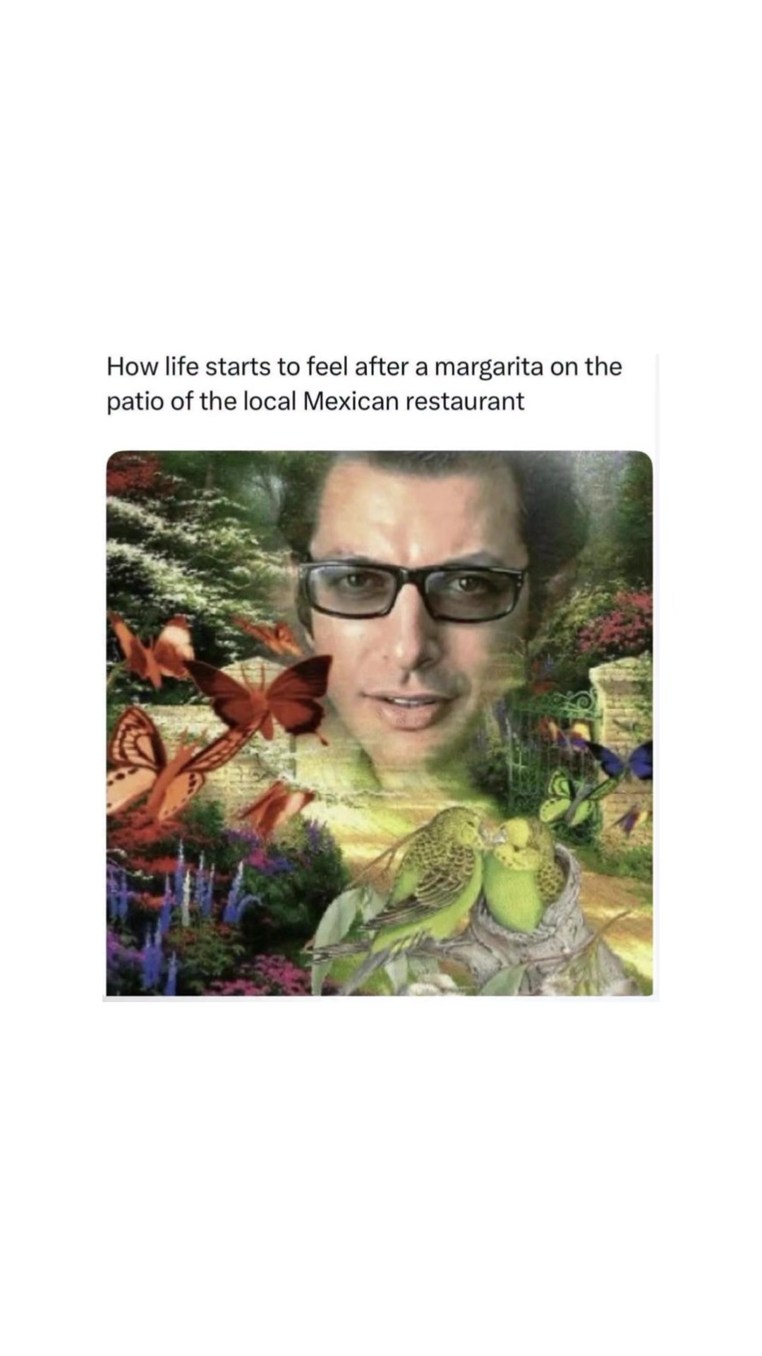 @𝙶𝚛𝚞𝚗𝚐𝚎𝙼𝚘𝚗𝚔𝚎𝚢