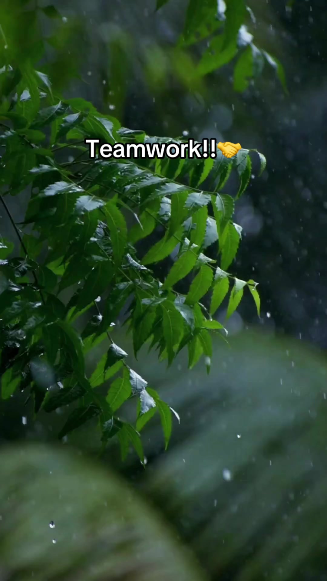 @Teamworker