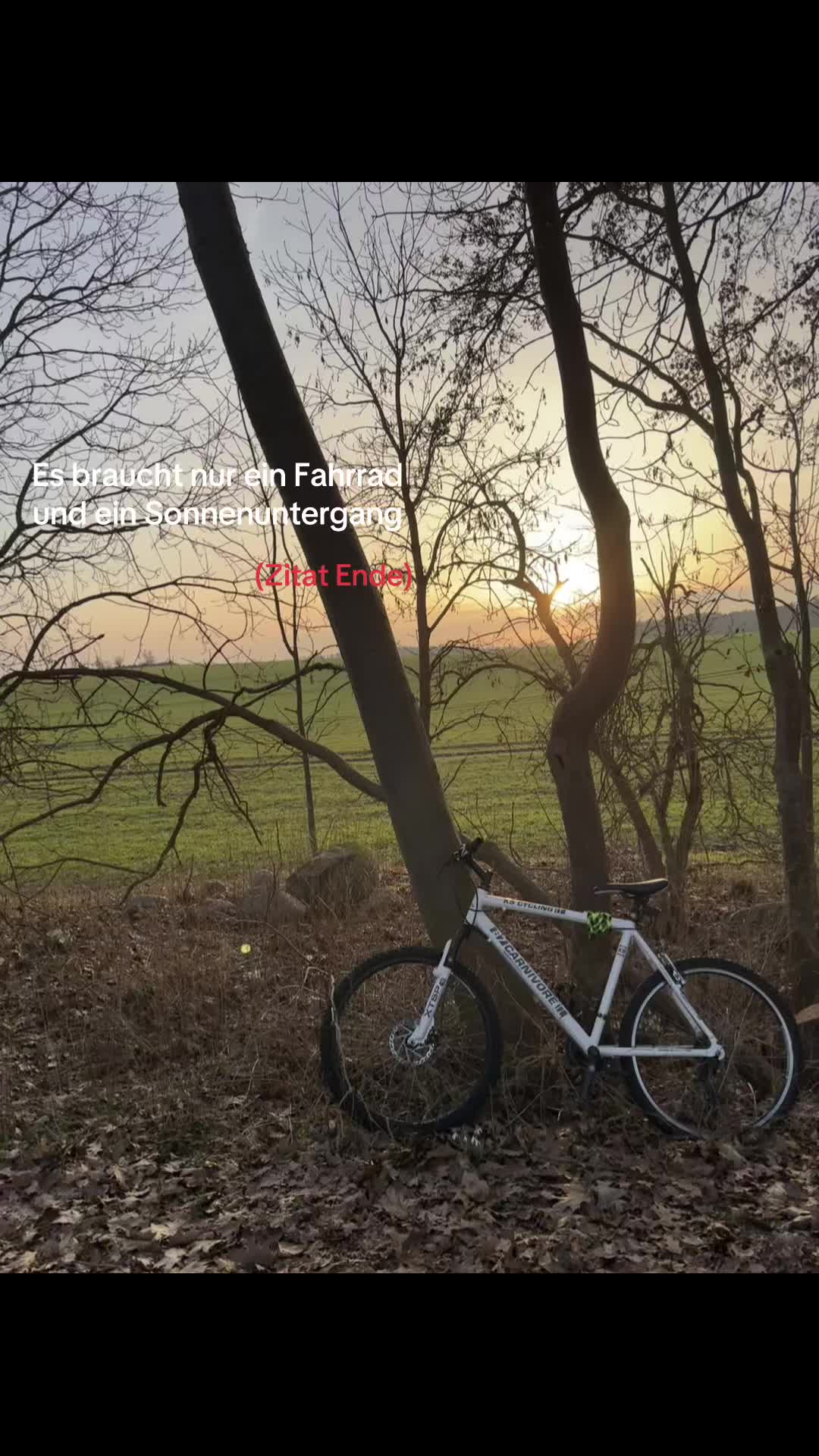 @luca🇩🇪🦅