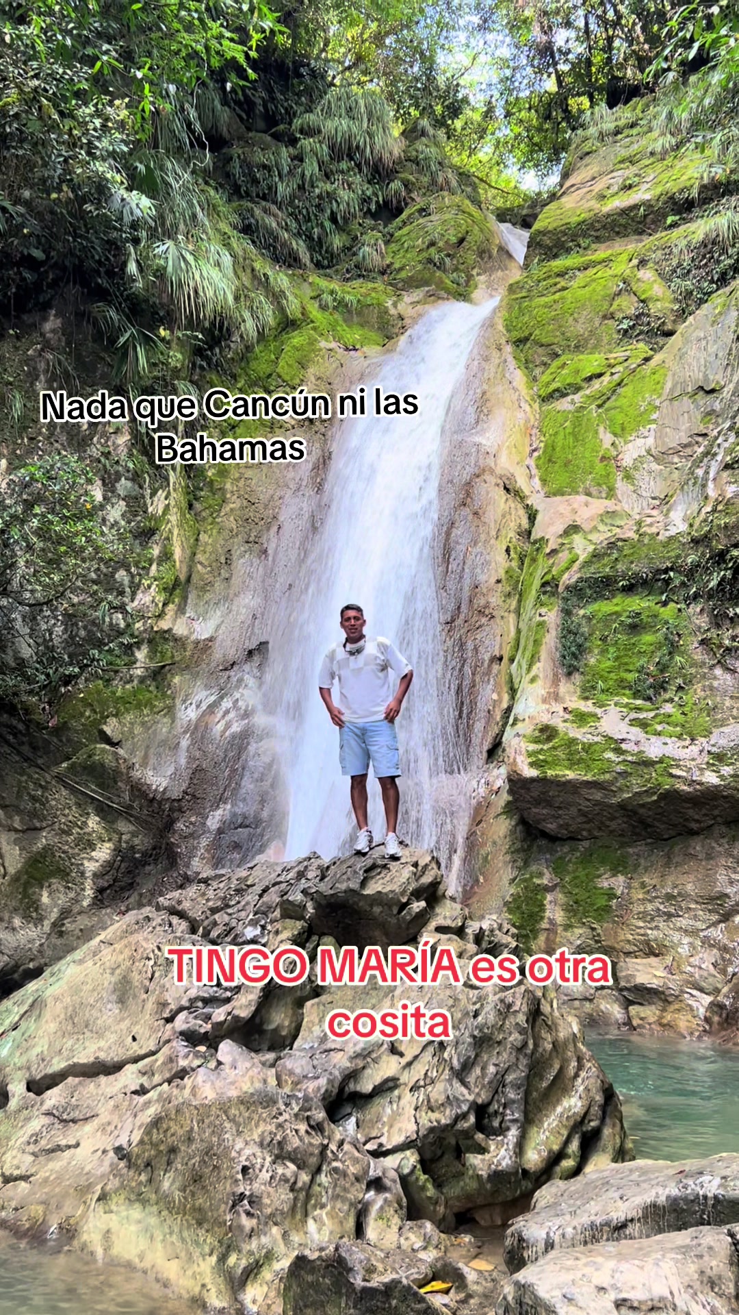 @Jes&uacute;s Lenin 🐬