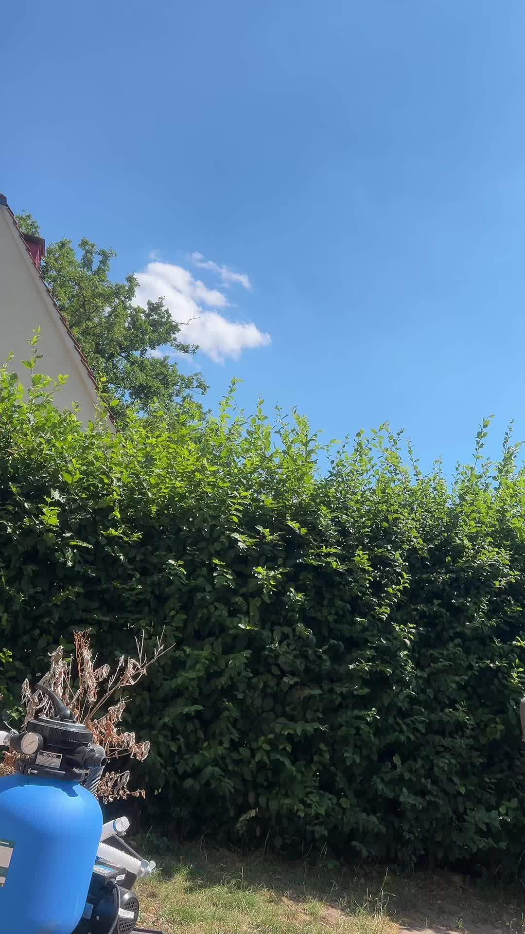 @Brotscheibe01