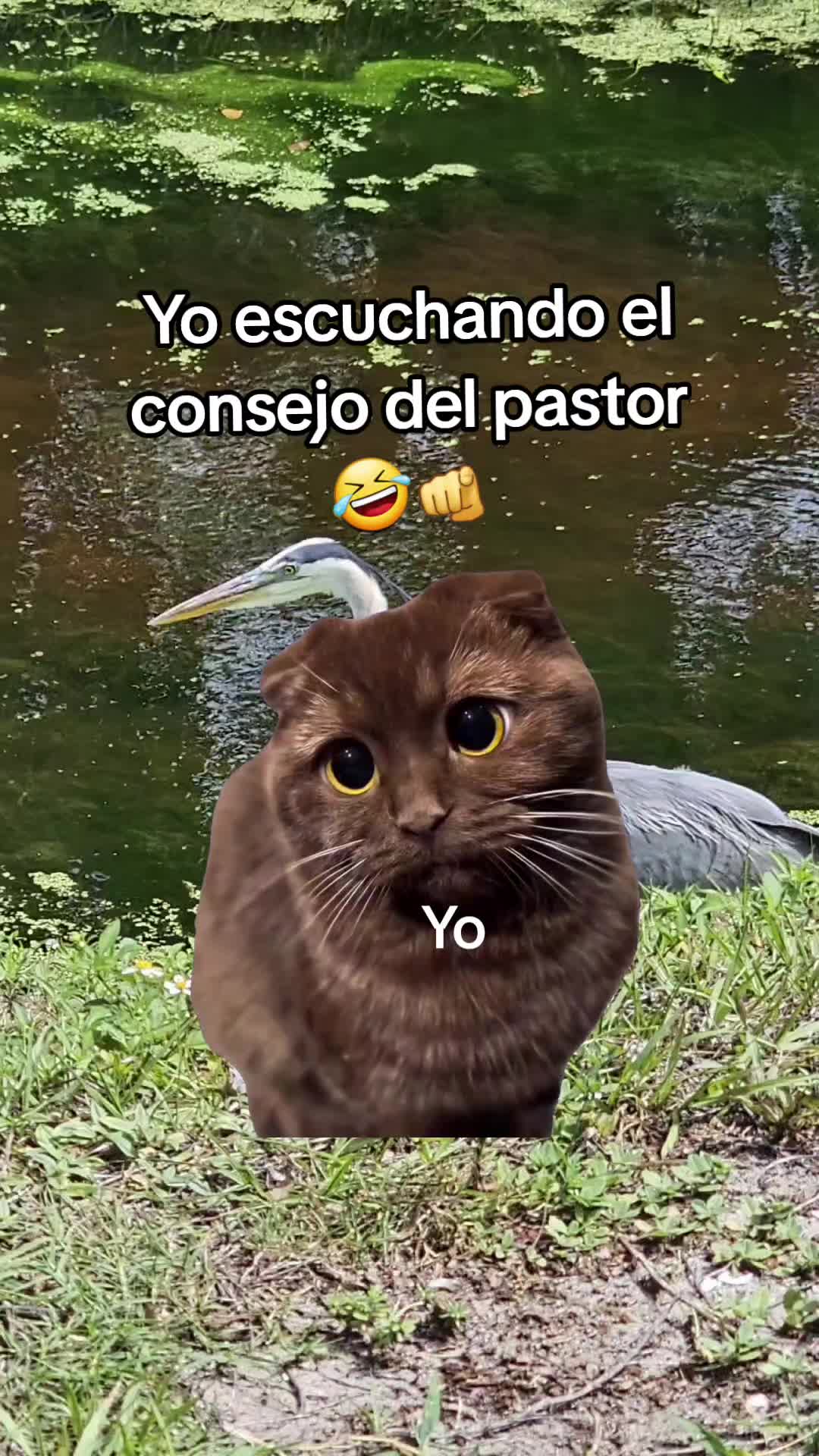 @Gabrielito 502