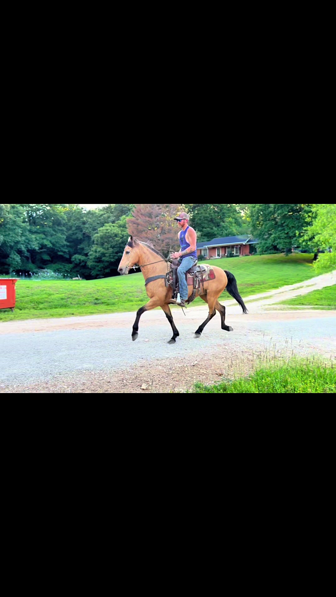 @Lucky D Ranch 🍀
