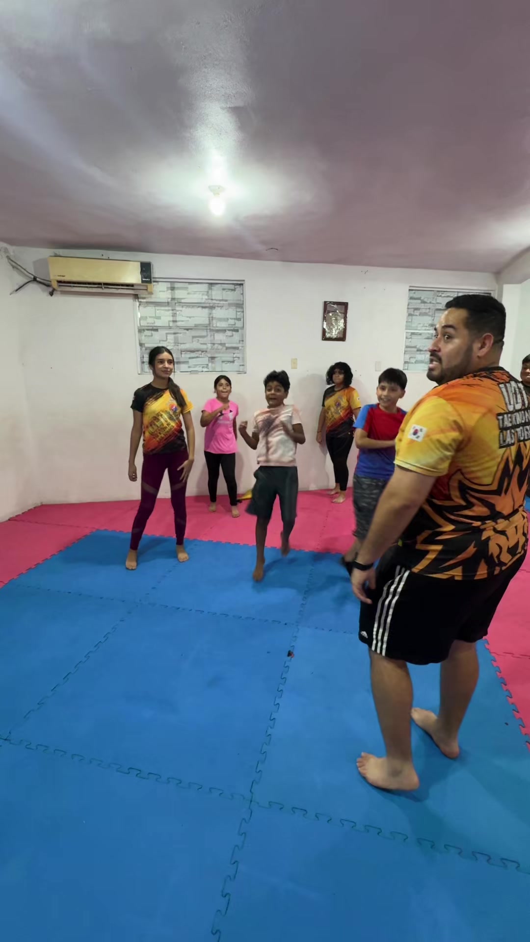 @taekwondolionsteam