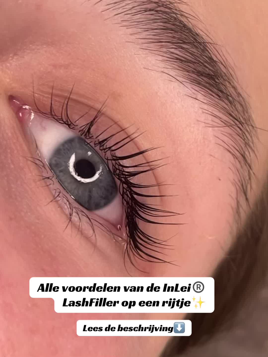 @TothemaxNL