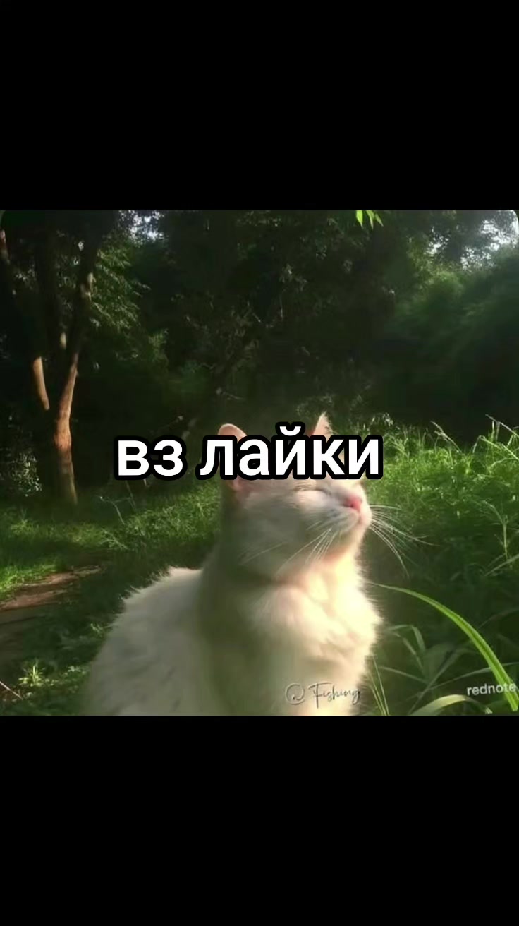 @актив