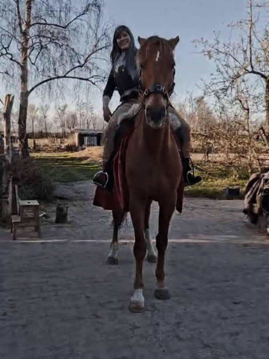 @Dino and horses