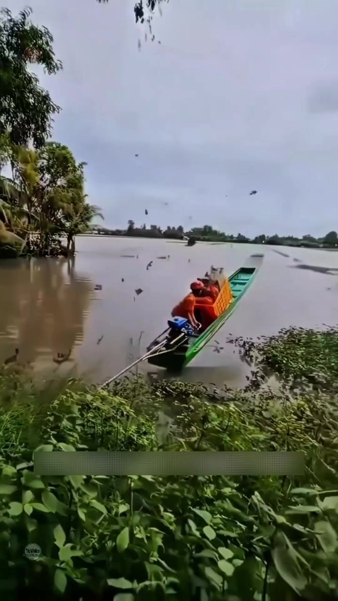 @Titik Facts