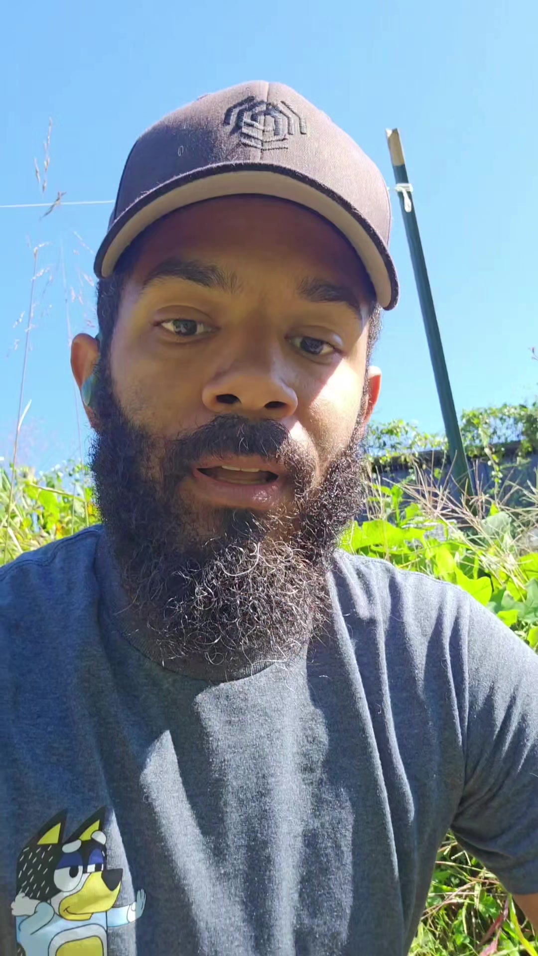 @Tyler | Designer & Homesteader
