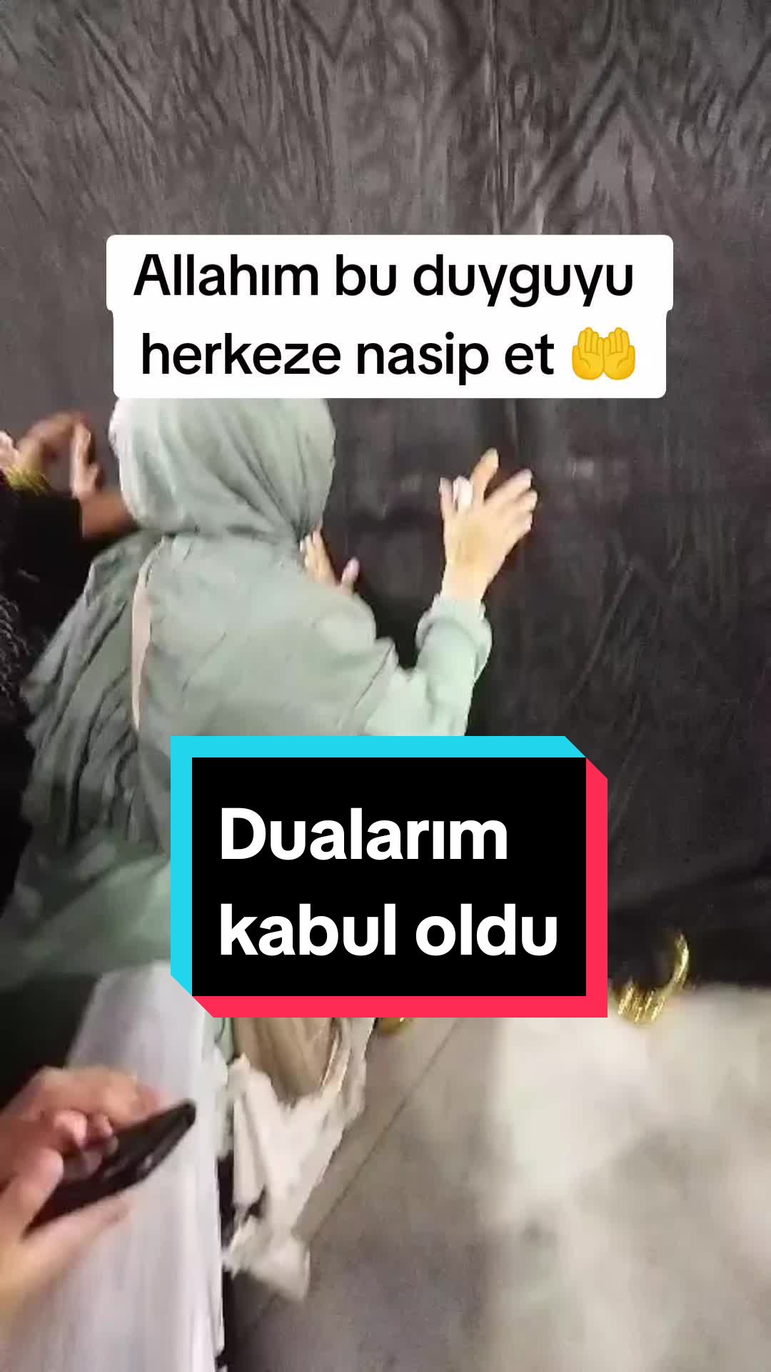 @hayalimm.
