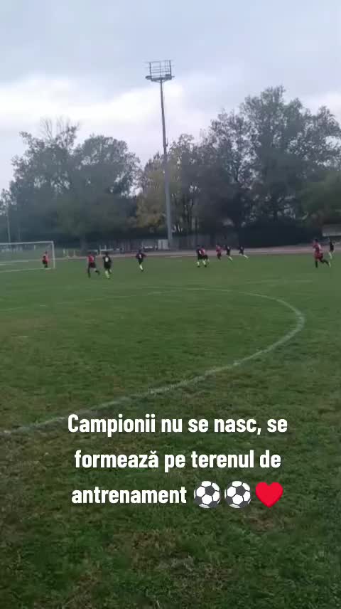 @Ala Bucur