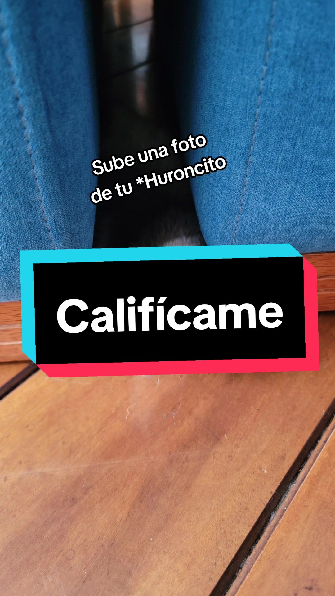 @Turno De Hur&oacute;n Boardgames