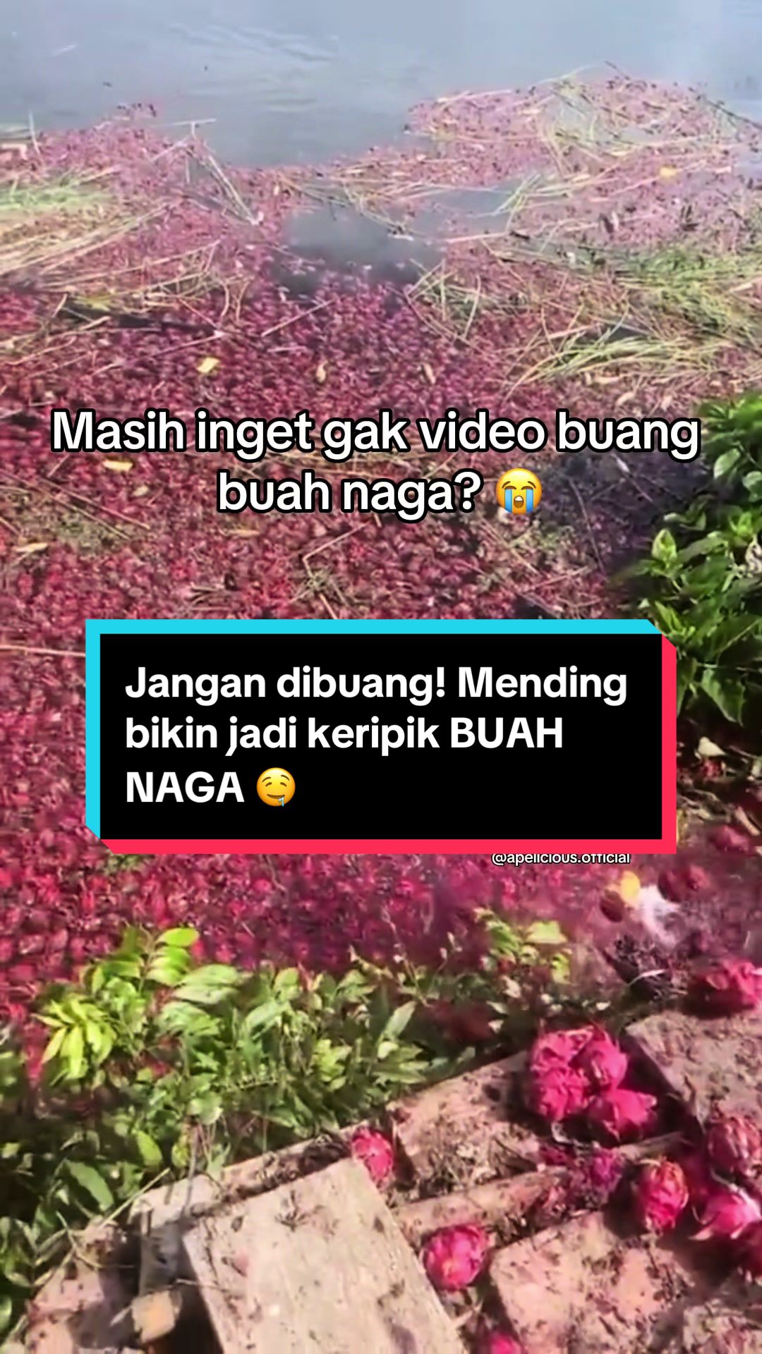 @APELICIOUS OFFICIAL