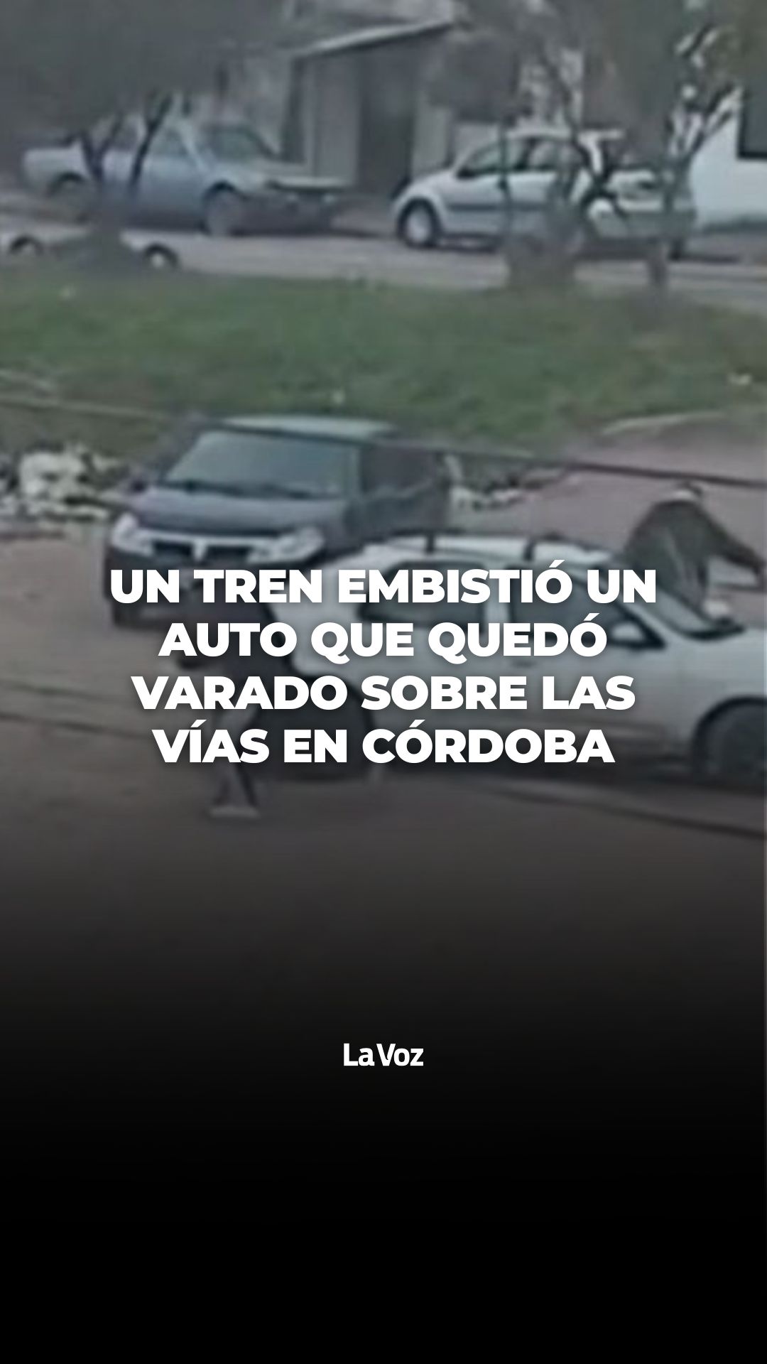 @lavozcomar