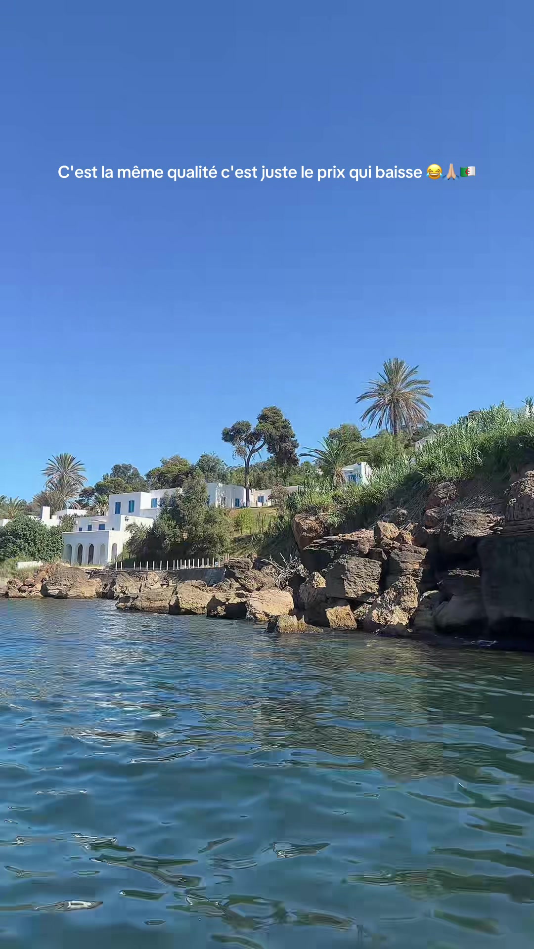 @Mina &agrave; Alger 🇩🇿