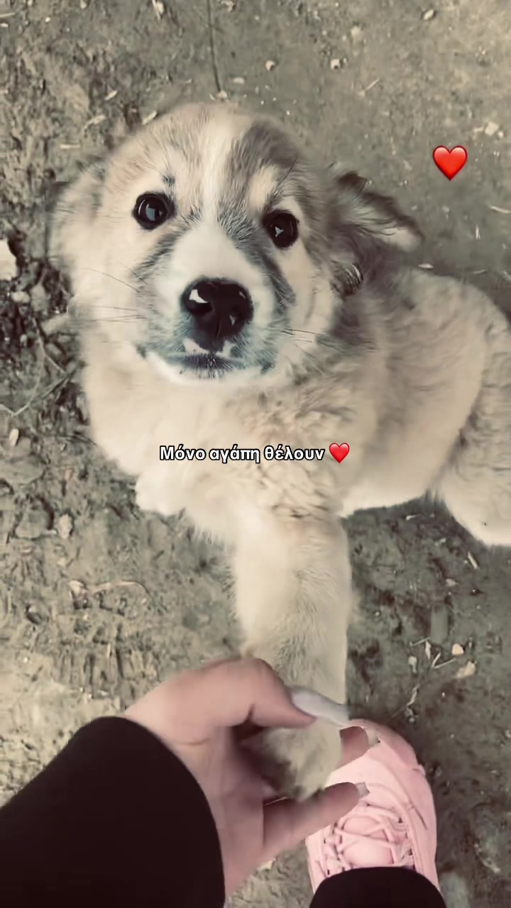@Mikelinaa