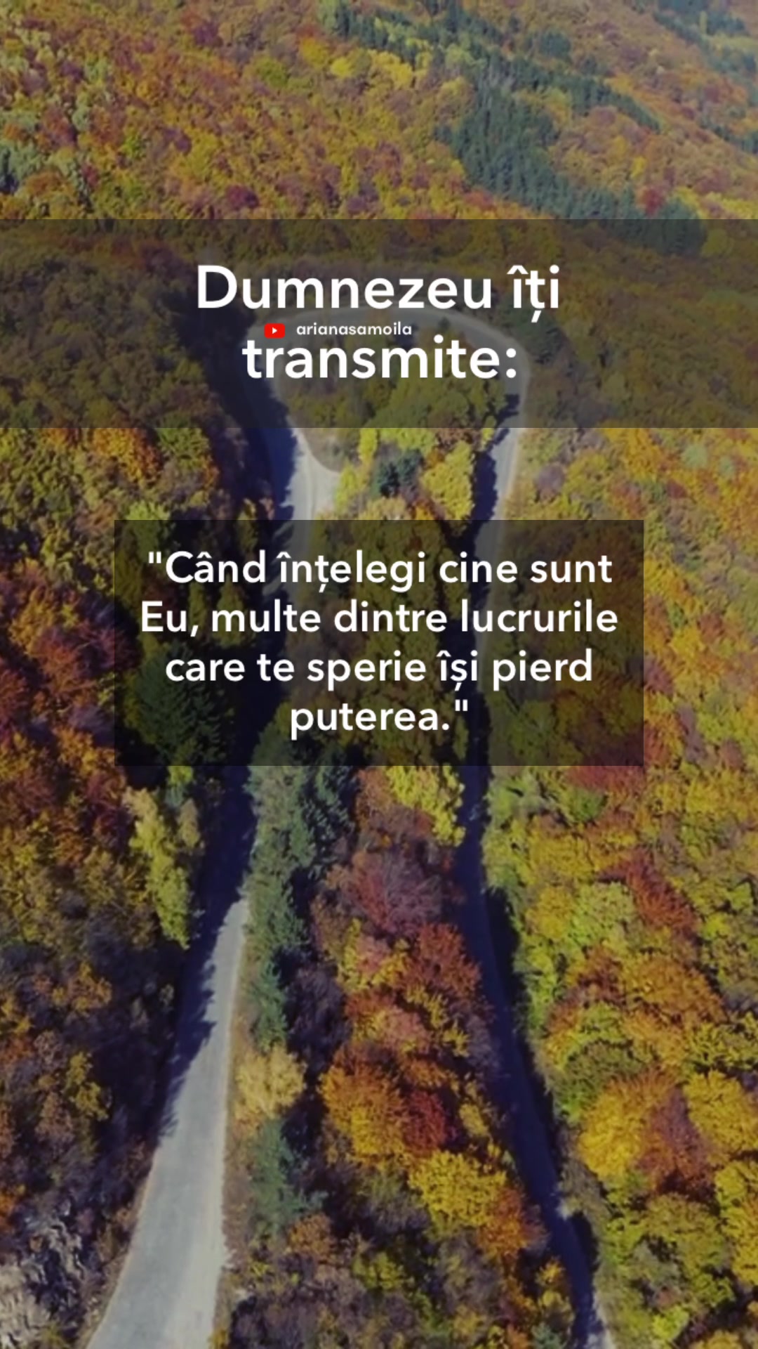 @Ariana Samoilă