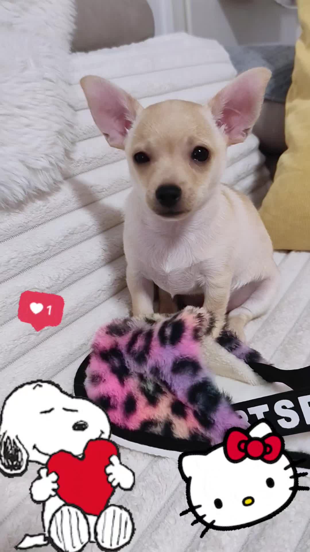 @๐บ๊ฅ๐บ ๐๐จ๐ฏ๐_๐๐ข๐ฑ๐ข ๐บ๊ฅ๐บ