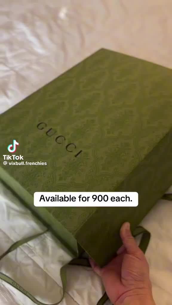 @vixbull.frencchies