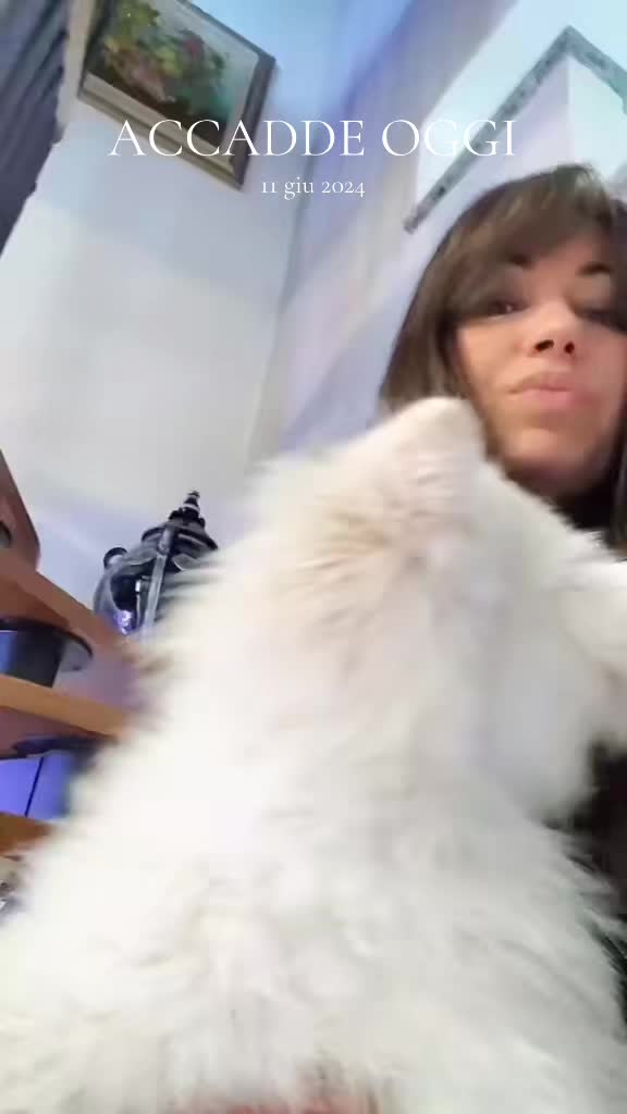 @tina_mehmetaj0