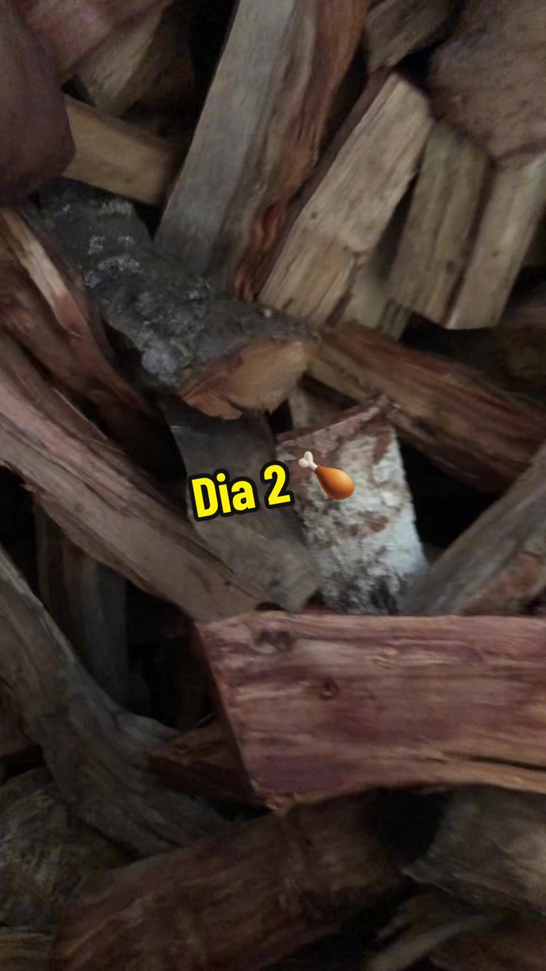 @IGO Pizzería