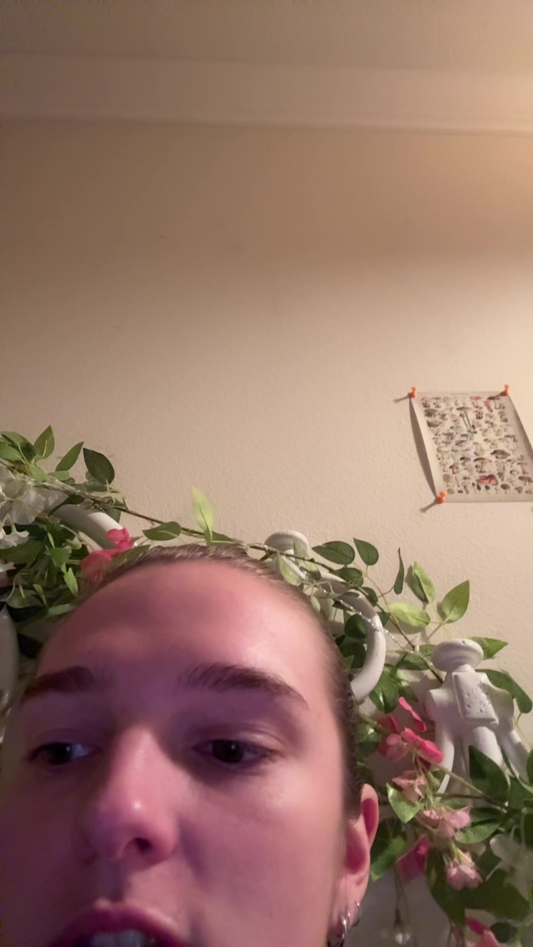 @raelynn