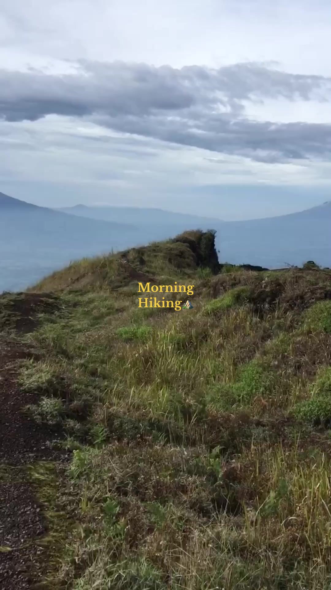 @tiiaulia