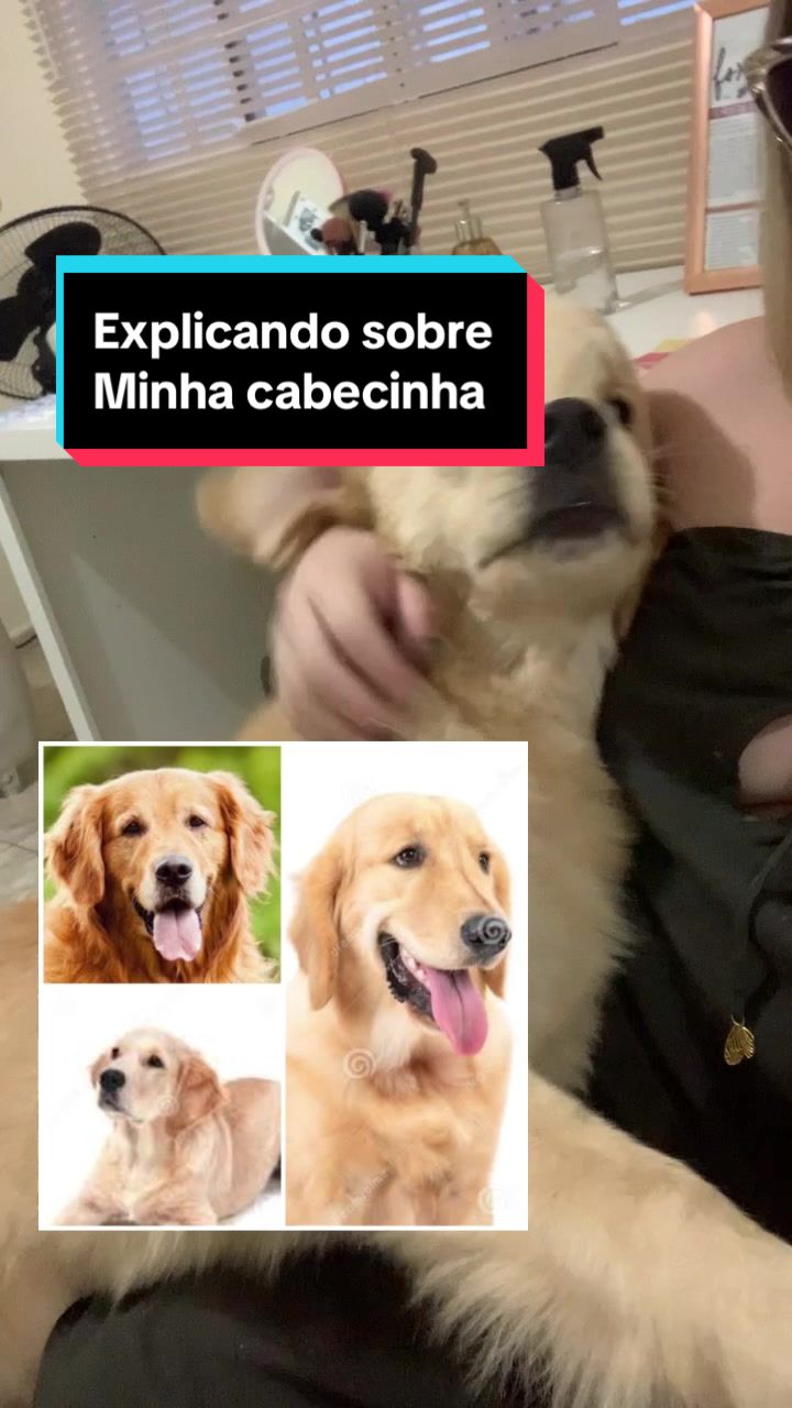 @Docinho, a golden especial.