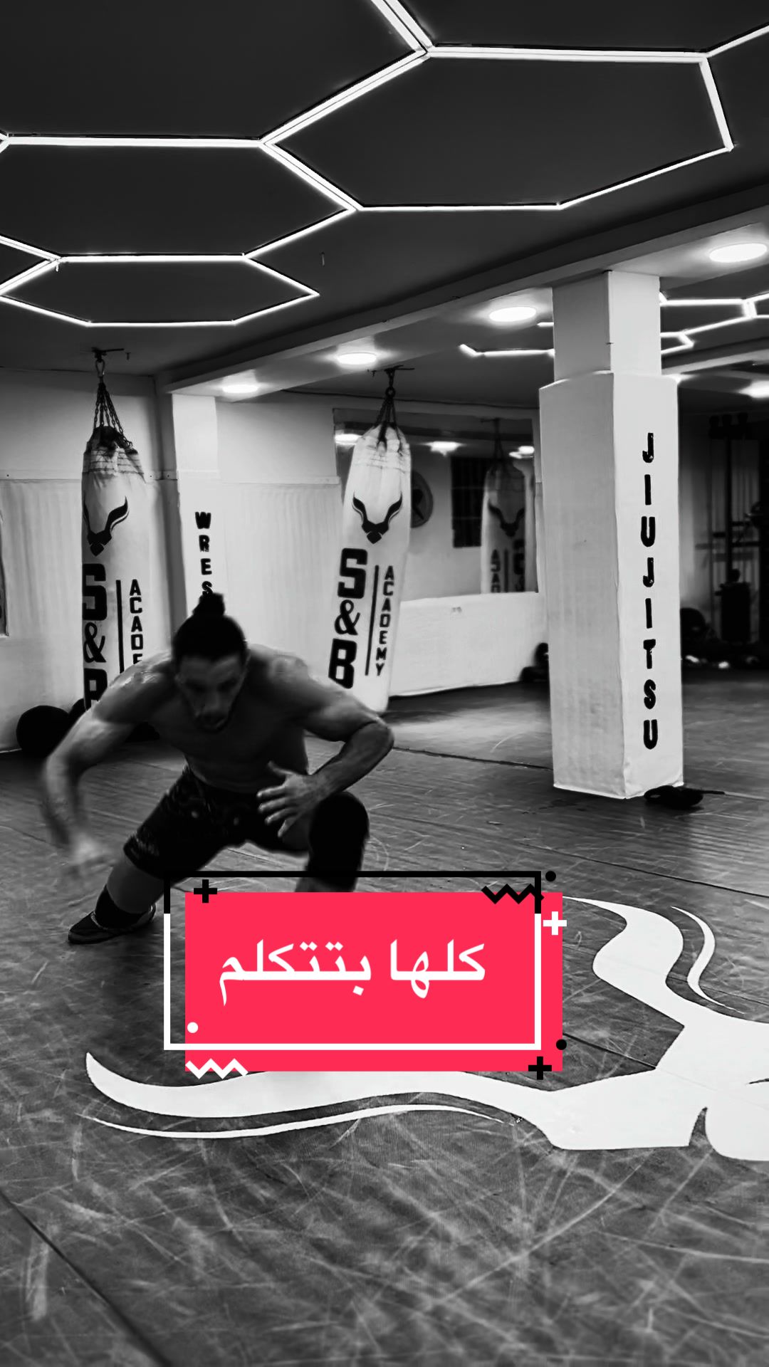 @syaha
