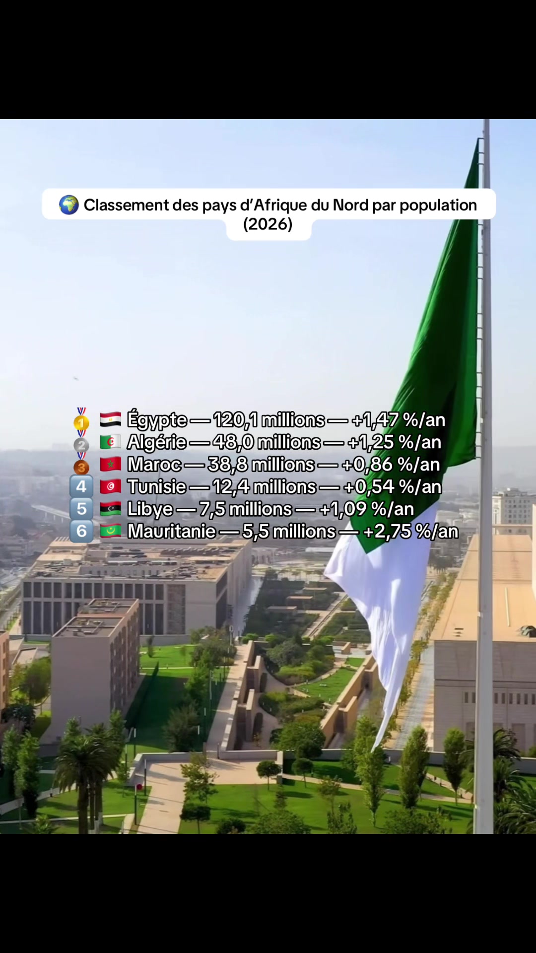 @🇩🇿🇵🇸