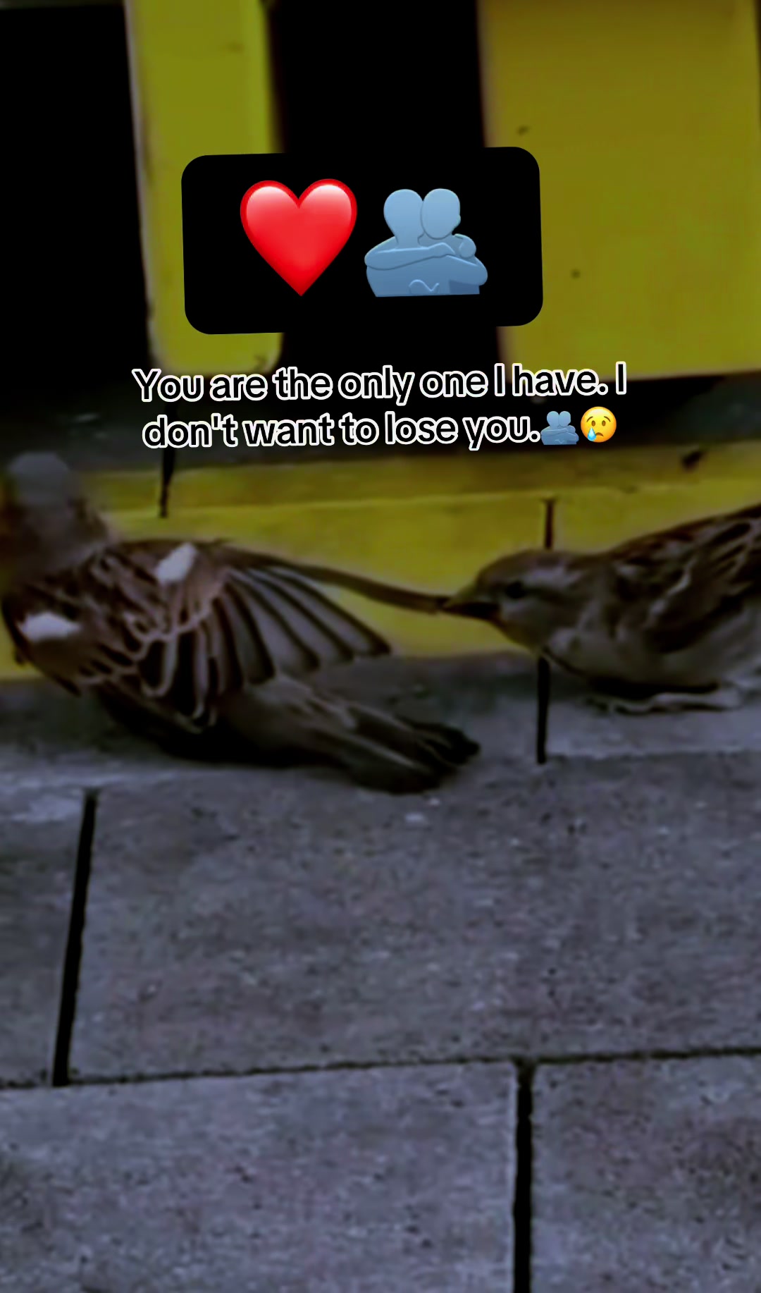 @Umíiìšħħh