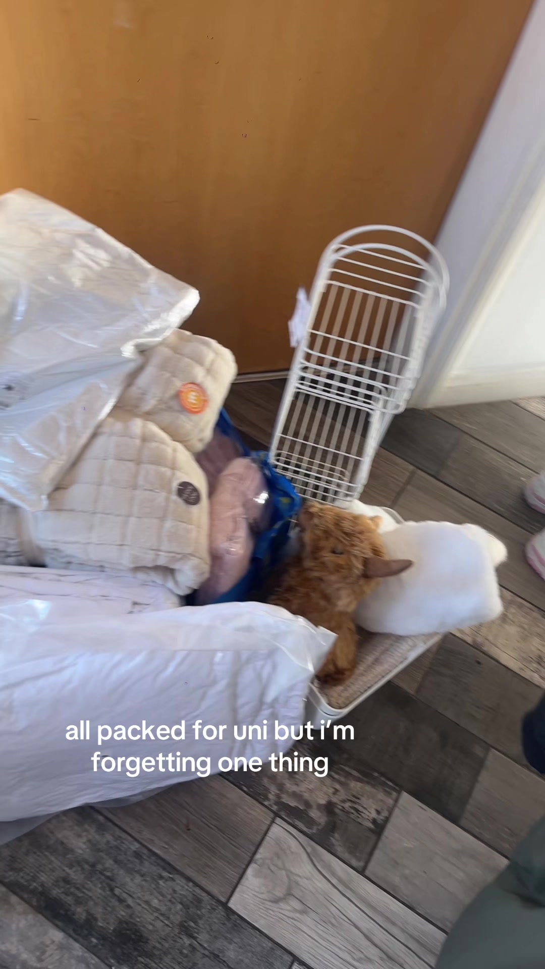 @georgia