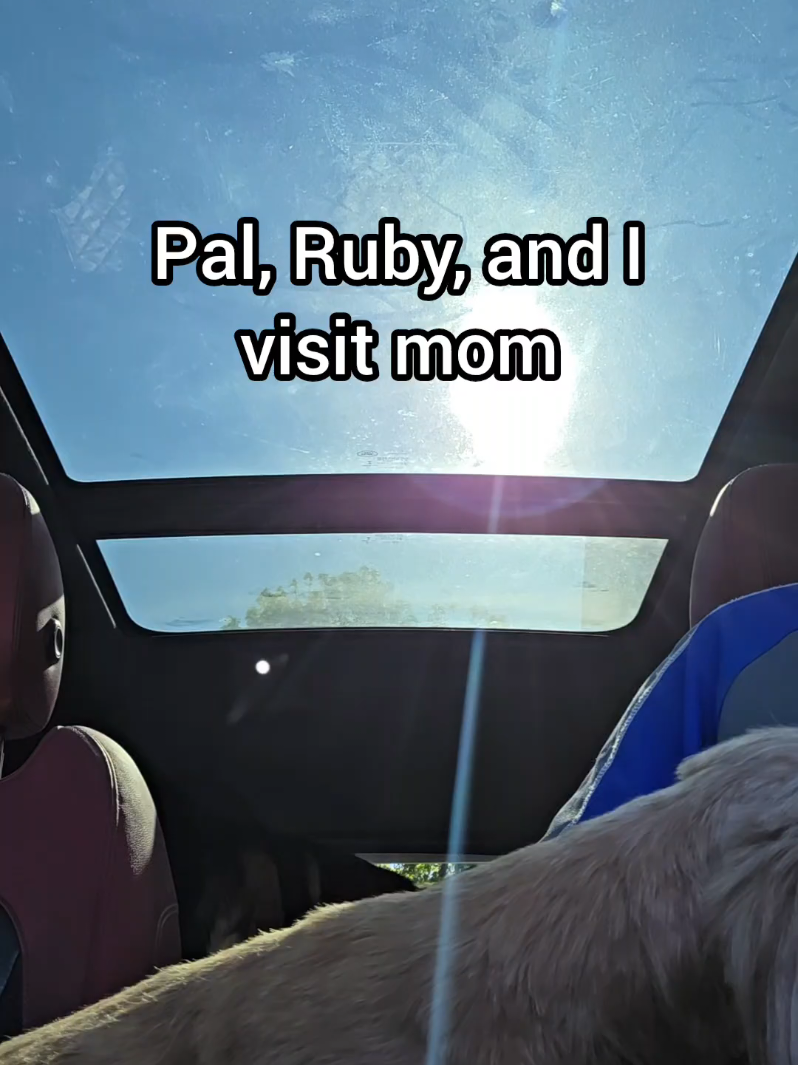 @BuddyandMikes Pal