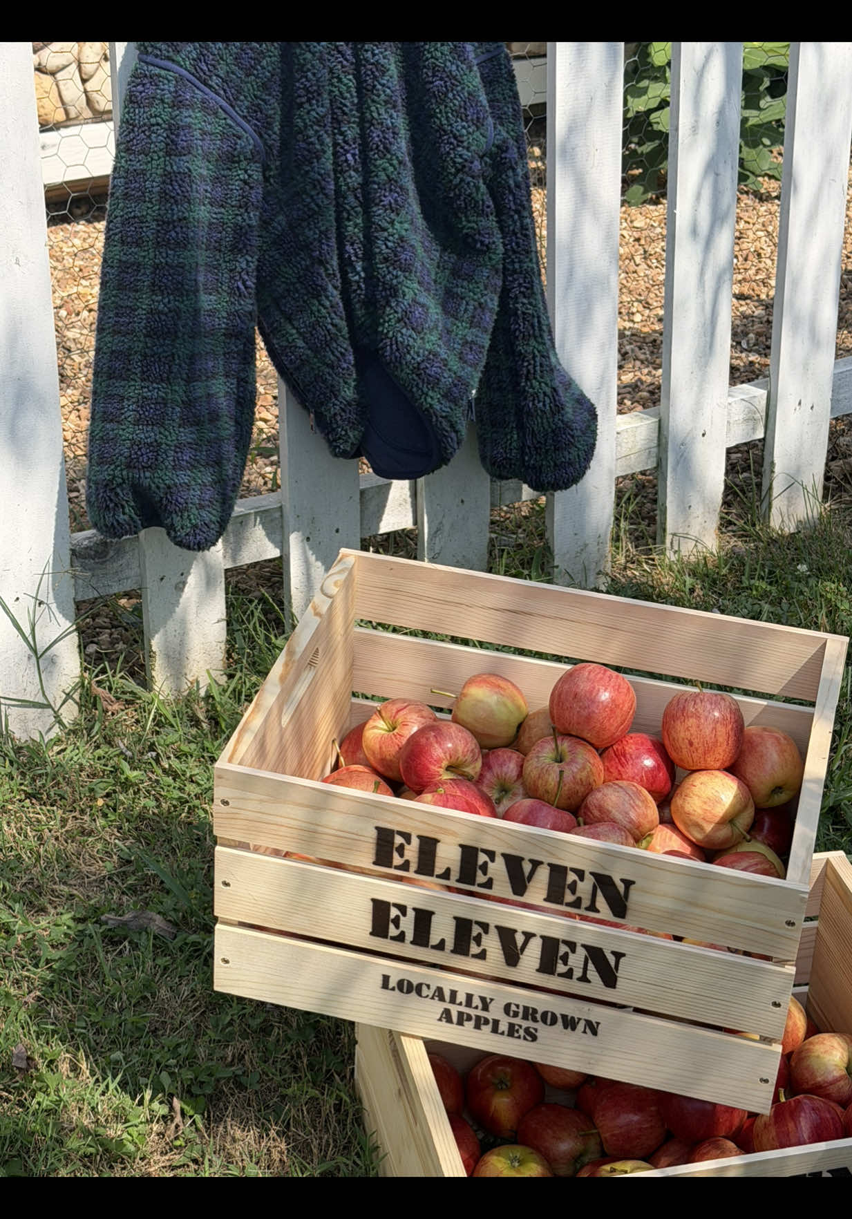 @Eleven Eleven