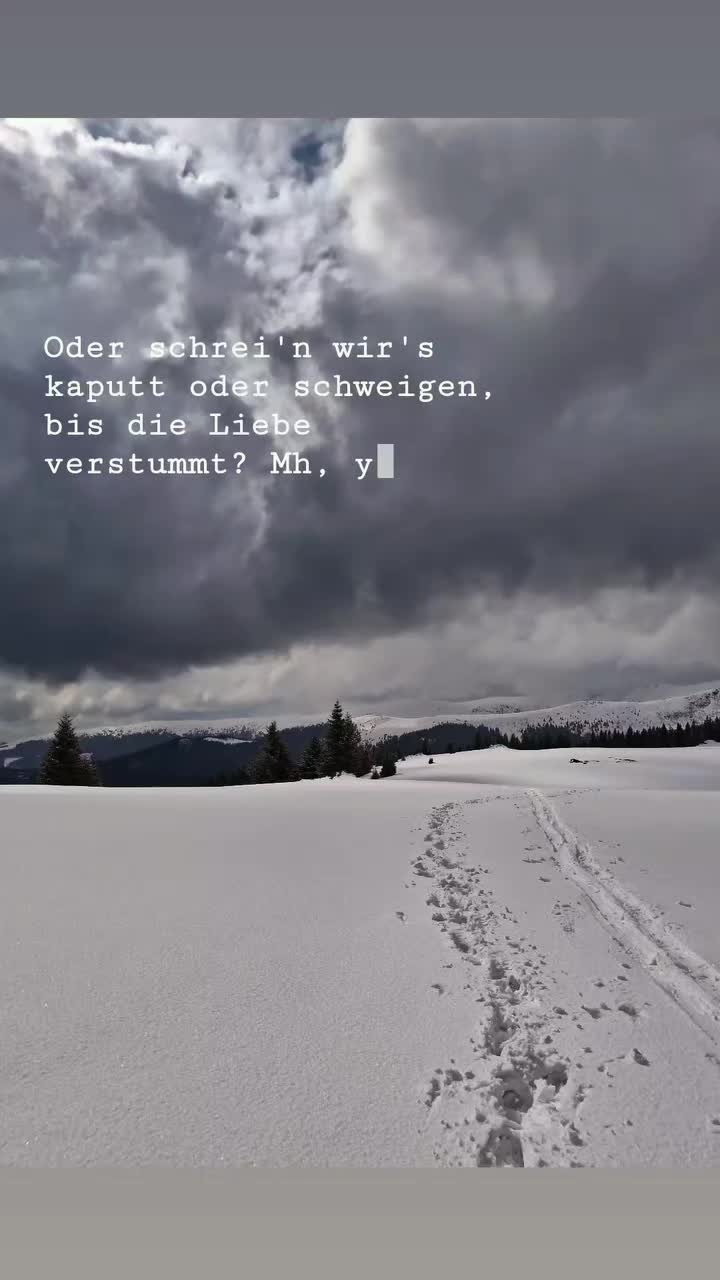 @daBergbua96