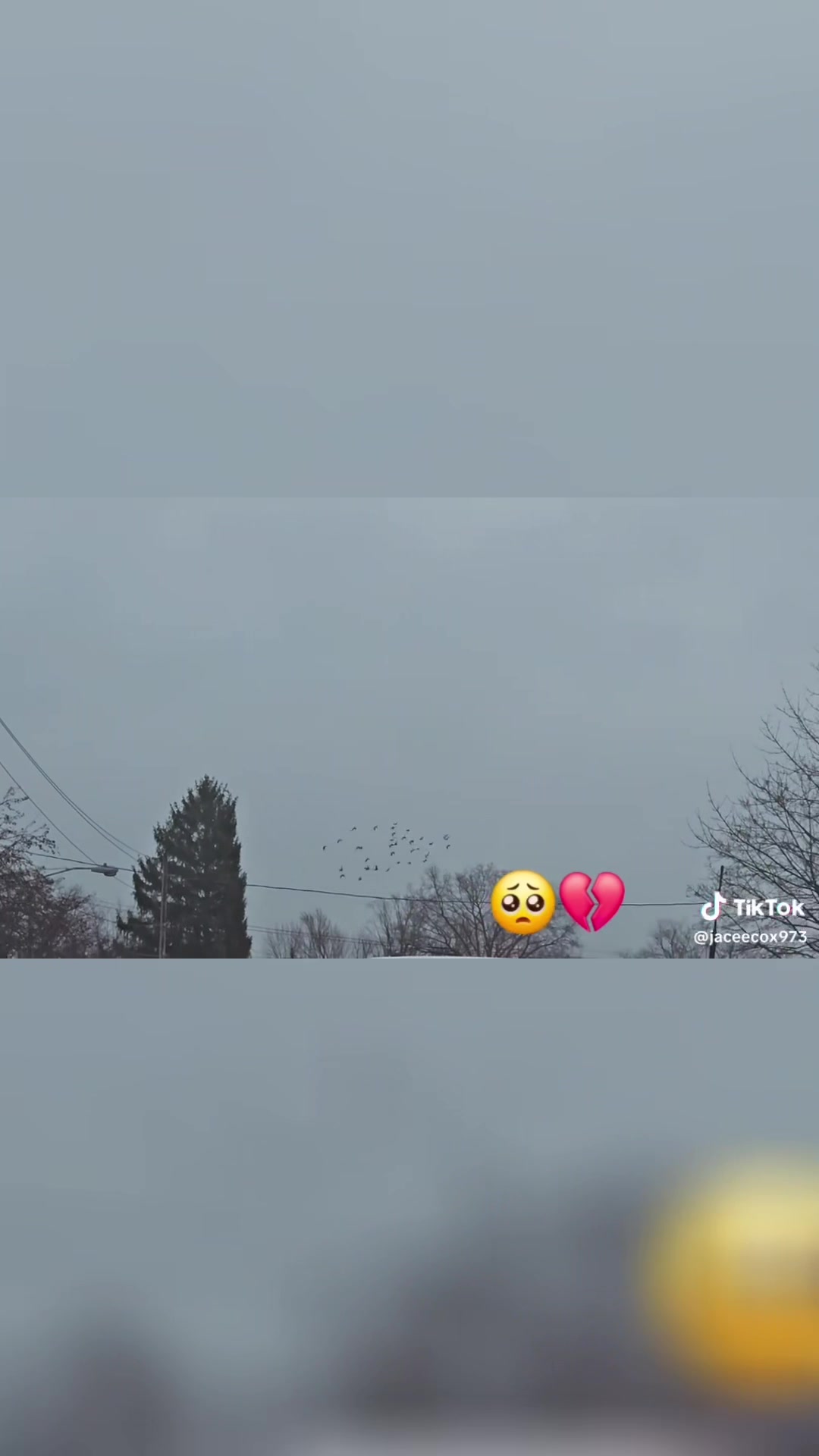 @JayYOLO$