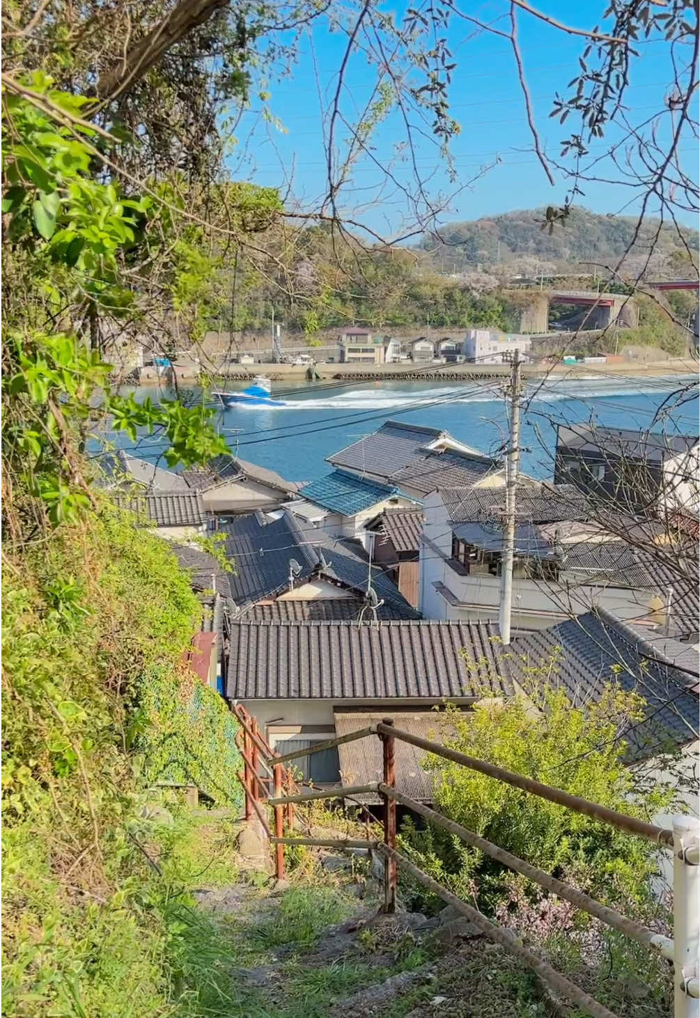 @とらのぽいち