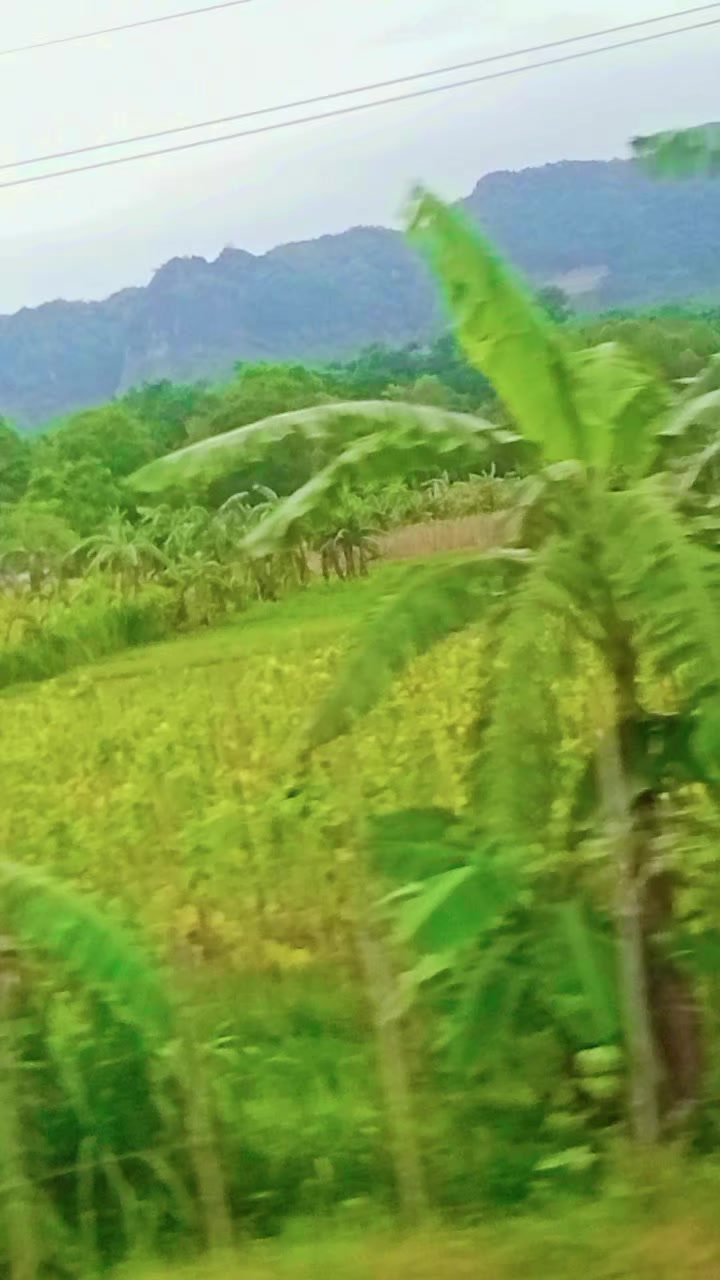 @কবির কবিতা