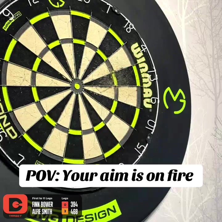 @AJSDarts