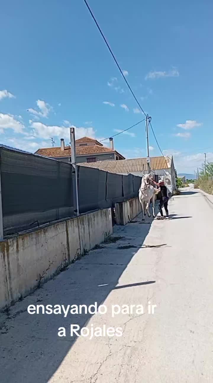 @dgz_65