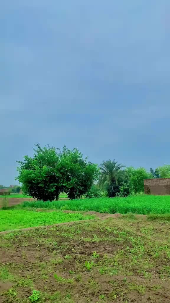@🥷Malik Usman Khokhar 🥷🦅🦅