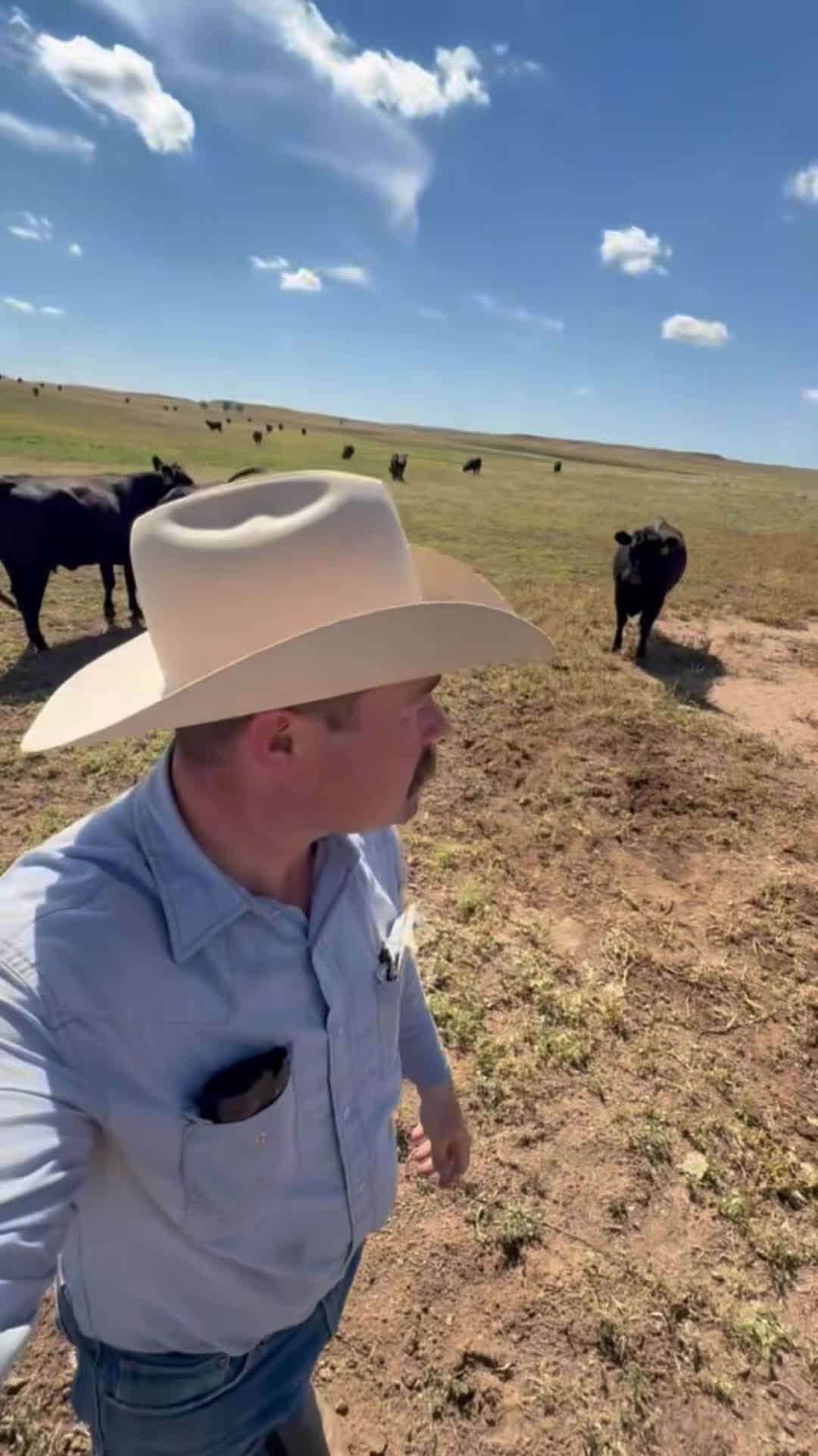 @McKinneyLandCattle